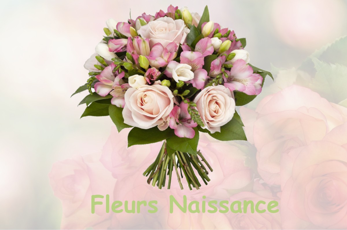 fleurs naissance LA-HAYE-PESNEL